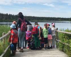 The garden organizes a number of events that grabs the interest of the visitors which includes Summer camps, Toddler programs, Workshops, and other in